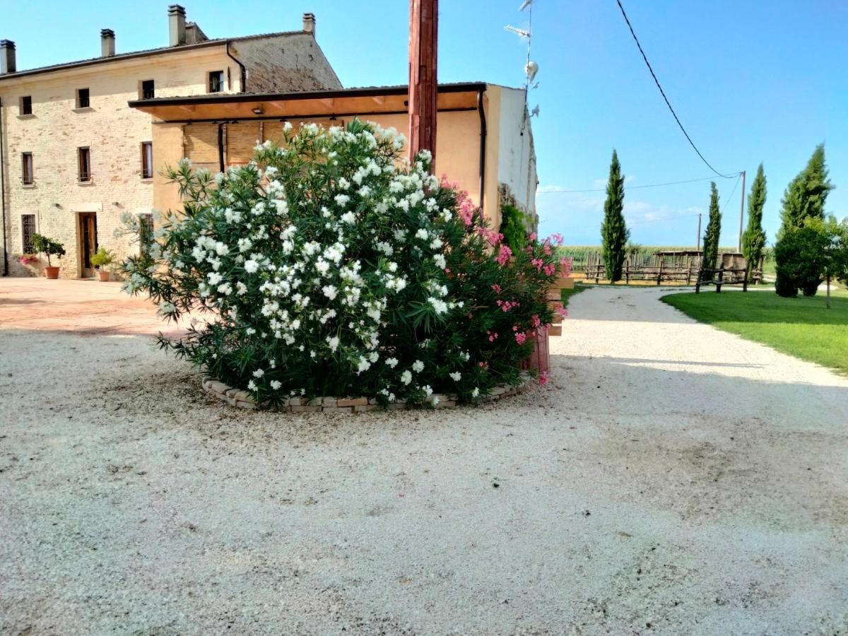 B&B Turistic 7 Castel Goffredo Экстерьер фото