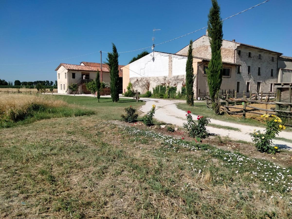 B&B Turistic 7 Castel Goffredo Экстерьер фото