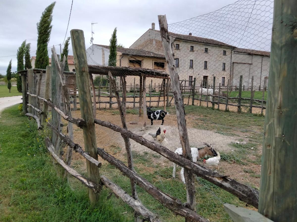 B&B Turistic 7 Castel Goffredo Экстерьер фото