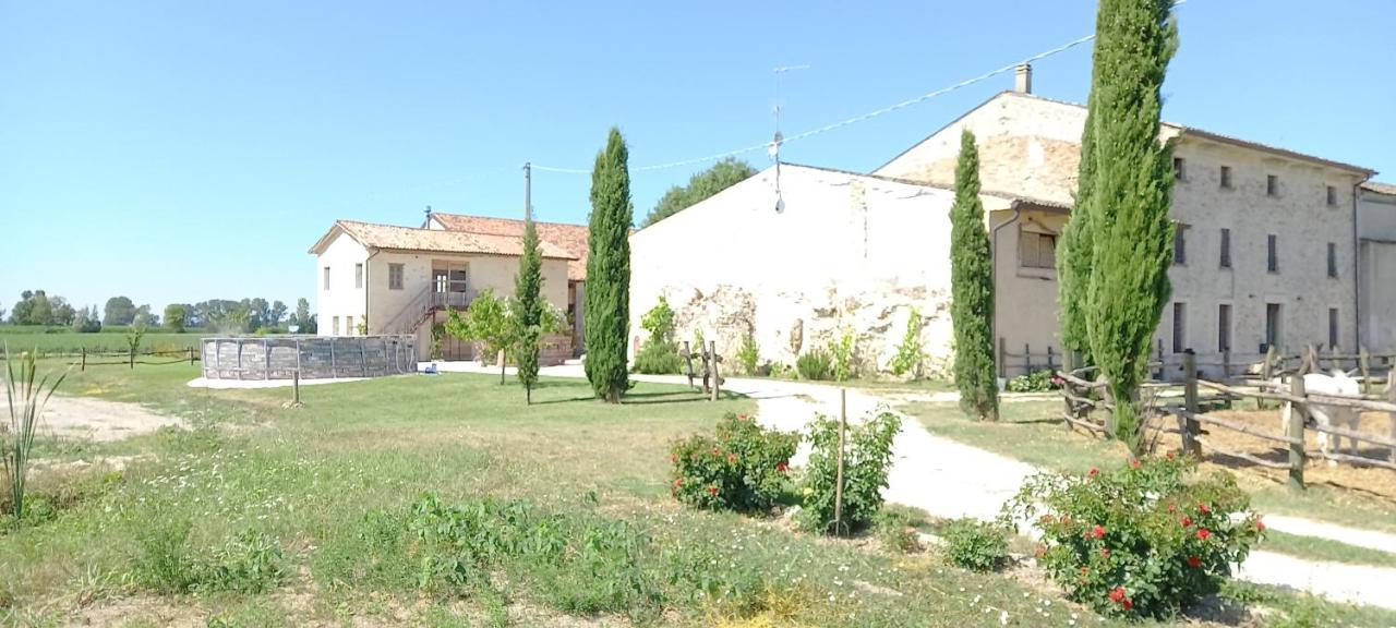 B&B Turistic 7 Castel Goffredo Экстерьер фото